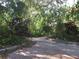 Brick driveway leading to lush, tropical foliage creating a serene and private entrance at 1440 Hales Hollow Dr, Dunedin, FL 34698