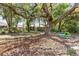 Leafy backyard with a large tree, birdhouse, and a small bench at 18836 Autumn Lake Blvd, Hudson, FL 34667