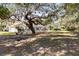 Large backyard shaded by mature trees, with a glimpse of the screened-in pool area at 18836 Autumn Lake Blvd, Hudson, FL 34667