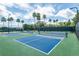 Outdoor pickleball courts featuring pristine green and blue surfaces and tall palm trees at 29447 Schinnecock Hills Ln, San Antonio, FL 33576