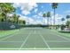 Green outdoor tennis courts with well-maintained nets and tall palm trees in the background at 29447 Schinnecock Hills Ln, San Antonio, FL 33576