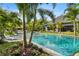 An inviting swimming pool, surrounded by palm trees and tropical landscaping creating a backyard oasis at 3005 S Miller Rd, Valrico, FL 33596