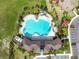 Aerial image showing a luxurious pool and amenities in a neighborhood setting at 33065 Major Oak Dr, Wesley Chapel, FL 33545