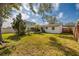 Backyard with lush lawn, mature landscaping, and a screened-in porch at 4837 97Th N Way, St Petersburg, FL 33708