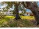 Green backyard featuring mature shade trees, with partial view of the house at 4837 97Th N Way, St Petersburg, FL 33708