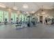 Spacious fitness center with modern exercise equipment, large windows, and ample natural light for a healthy lifestyle at 5134 Ballantrae Blvd, Land O Lakes, FL 34638