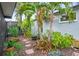 Tropical backyard landscape with palm trees, mulch beds, and stone paver path at 6531 Clair Shore Dr, Apollo Beach, FL 33572