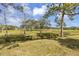 Expansive backyard view featuring a lush green lawn and mature trees at 1431 54Th Ne Ave, St Petersburg, FL 33703