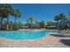 Beautiful community pool featuring palm trees, umbrellas, lounge chairs, and lots of space to relax at 304 Silver Falls Dr, Apollo Beach, FL 33572