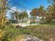 This backyard offers a pool, tropical trees, a grassy area, and a shed at 3124 61St N Ln, St Petersburg, FL 33710