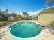 Relax in this sparkling pool with the house right next to it, surrounded by tropical landscaping at 3124 61St N Ln, St Petersburg, FL 33710