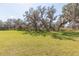 Large building lot with mature trees provides privacy and shade for your new dream home at 33277 Rosewood Bark Way, Wesley Chapel, FL 33545