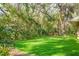 Lush, well-manicured backyard, ideal for relaxing and outdoor activities at 70 Deerpath Dr, Oldsmar, FL 34677