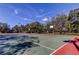 Outdoor basketball court featuring trees around the perimeter and a blue sky at 1208 E Giddens Ave, Tampa, FL 33603