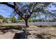 Serene park view with bench, large tree, open lawn, and nearby homes at 1208 E Giddens Ave, Tampa, FL 33603