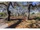 A neighborhood playground featuring mature trees and swings, with a mulch base at 1208 E Giddens Ave, Tampa, FL 33603