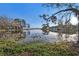 Scenic lake view with trees, reflections of buildings, and clear blue sky on a sunny day at 13733 Juniper Blossom Dr, Tampa, FL 33618