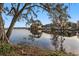 Townhomes reflect off lake water with trees hanging over the bank on a sunny day at 13733 Juniper Blossom Dr, Tampa, FL 33618