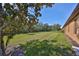 Expansive backyard with lush green grass, trees, and a path creating a serene outdoor setting at 320 Seneca Falls Dr, Apollo Beach, FL 33572
