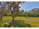 Expansive sunny yard with mature tree and lush green lawn at 320 Seneca Falls Dr, Apollo Beach, FL 33572