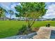 Beautiful backyard view featuring green lawn, mature tree, lush landscaping, and hardscaped walkway at 3681 Overlook Ct, Palm Harbor, FL 34684