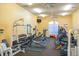 Bright community gym with weight machines, free weights, and treadmills for residents' fitness needs at 4323 Bayside Village Dr # 314, Tampa, FL 33615
