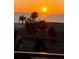 Picturesque sunset behind a building and palm trees at 7600 Bayshore Dr # 204, Treasure Island, FL 33706