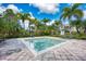 Community splash pool area surrounded by palm trees and lounge chairs at 8926 Manor Loop # 207, Lakewood Ranch, FL 34202