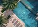 Aerial view of a modern pool with lounge chairs and palm trees in a luxurious tropical setting at 1 Aqua Reserve Blvd, New Port Richey, FL 34652