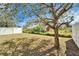 Large, fenced backyard with a mature tree on a sunny day at 12239 Fawn Brindle St, Riverview, FL 33578