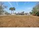 Wide view of backyard featuring a large green space, trees, and a home with a screened-in pool at 13128 Hazelcrest St, Spring Hill, FL 34609