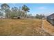 Vast backyard showing a large green space, trees, and the side of a house with a screened-in pool at 13128 Hazelcrest St, Spring Hill, FL 34609