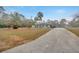 Home's exterior showing landscaped yard with a concrete driveway at 13128 Hazelcrest St, Spring Hill, FL 34609