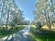 Long driveway leading to home with mature trees and lush landscaping at 18840 Rustic Woods Trl, Odessa, FL 33556