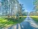 Long driveway leading to home with mature trees and lush landscaping at 18840 Rustic Woods Trl, Odessa, FL 33556