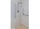 Shower with tiled walls, non slip flooring and steel grab bars at 2101 Sunset Point Rd # 1003, Clearwater, FL 33765