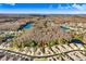 An aerial view of a home and its surroundings, highlighting its serene location, with a natural backdrop at 31031 Whitlock Dr, Wesley Chapel, FL 33543