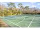 Community basketball court offers a fun way to stay active at 31031 Whitlock Dr, Wesley Chapel, FL 33543