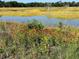 Beautiful waterfront view of a serene lake surrounded by wildflowers and trees at 3917 103Rd N Ave, Clearwater, FL 33762