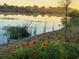 Scenic lake view surrounded by lush greenery and wildflowers at sunset at 3917 103Rd N Ave, Clearwater, FL 33762