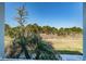 Relaxing view from the porch, showcasing lush greenery and peaceful surroundings at 811 Winterside Dr, Apollo Beach, FL 33572