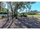 Lush backyard featuring a greenhouse, outdoor seating, and mature trees at 9250 Rhea Dr, Odessa, FL 33556