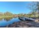 Scenic pond view with a wooden dock, surrounded by lush trees at 9250 Rhea Dr, Odessa, FL 33556