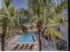 Relaxing community pool surrounded by lush palm trees, seen from the unit's lanai at 215 Valencia Blvd # 207, Belleair Bluffs, FL 33770