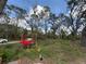 A view of the yard with mature trees and greenery creates a private and serene outdoor space at 3112 Desoto Rd, Sarasota, FL 34234