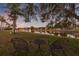 Backyard with a scenic pond view, seating, and lush landscaping, perfect for relaxing outdoors at 3830 Moreno Dr, Palm Harbor, FL 34685