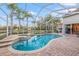 Screened pool with a hot tub, brick patio, palm trees, and views of a lake at 3830 Moreno Dr, Palm Harbor, FL 34685