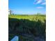 Scenic view from the balcony showcases lush green vegetation, a body of water, and a building in the distance at 4801 Osprey S Dr # 209, St Petersburg, FL 33711