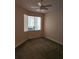 Bright bedroom features neutral walls, carpet flooring, a ceiling fan, and a window with natural light at 4801 Osprey S Dr # 209, St Petersburg, FL 33711