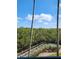Scenic boardwalk view surrounded by lush greenery and bright blue sky at 4801 Osprey S Dr # 209, St Petersburg, FL 33711